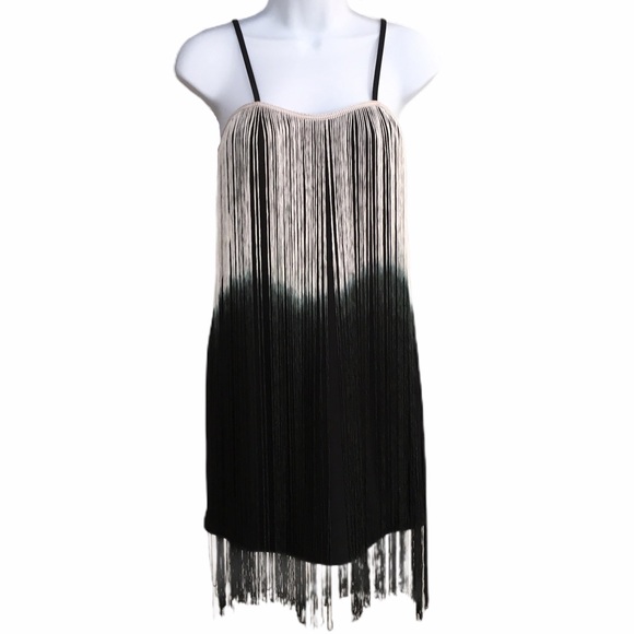 Miss Morena Dresses & Skirts - 5/$25 BUNDLE Flapper Fringe Ombré Mini Party Dress